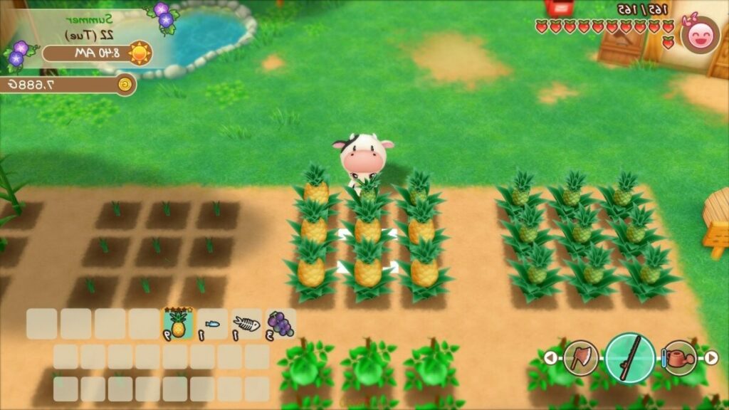 Story of Seasons, Friends of Mineral Town PS3 Game Free Setup Download