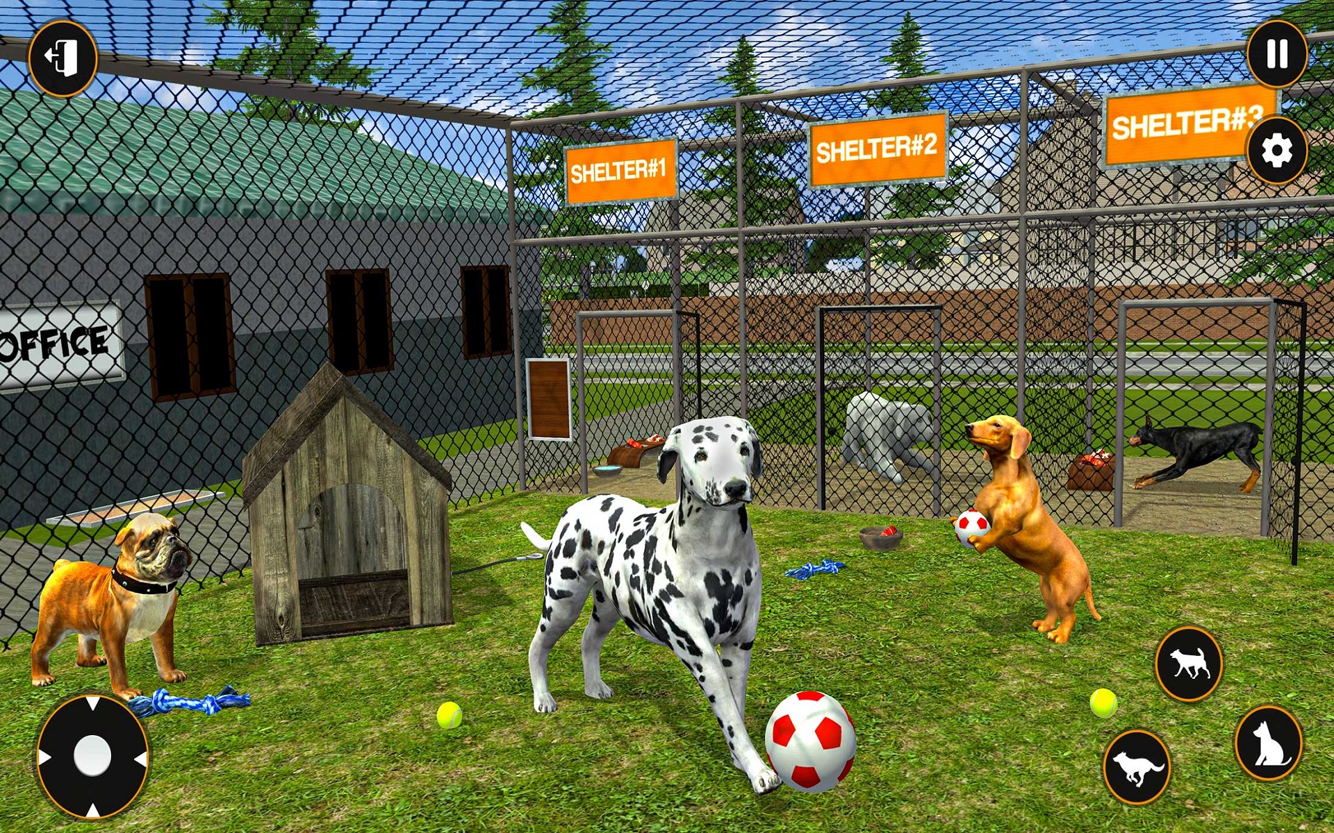 Animal Shelter PC Game Full Version Download