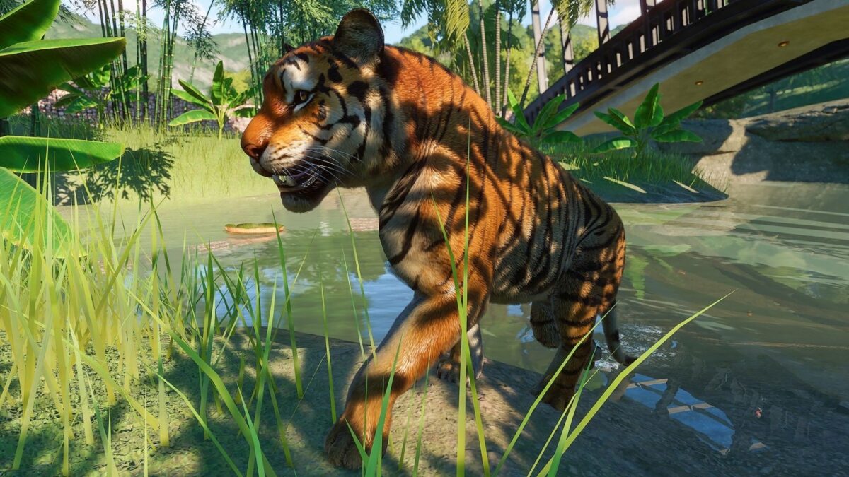 Planet Zoo PC Game Updated Version Free Download