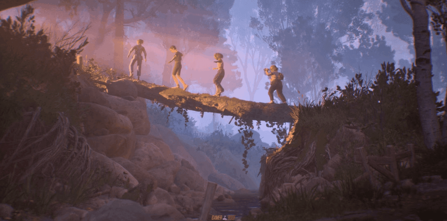 Lost Records Bloom & Rage