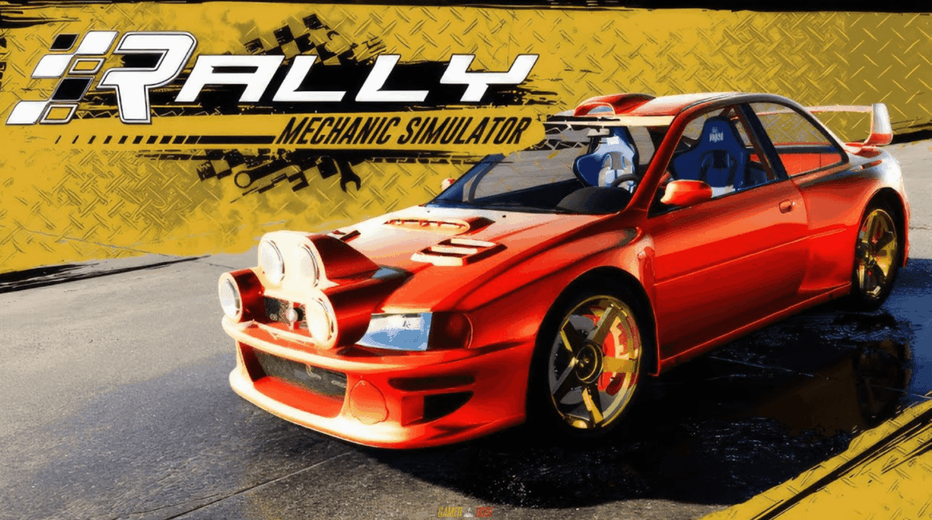 Rally Mechanic Simulator