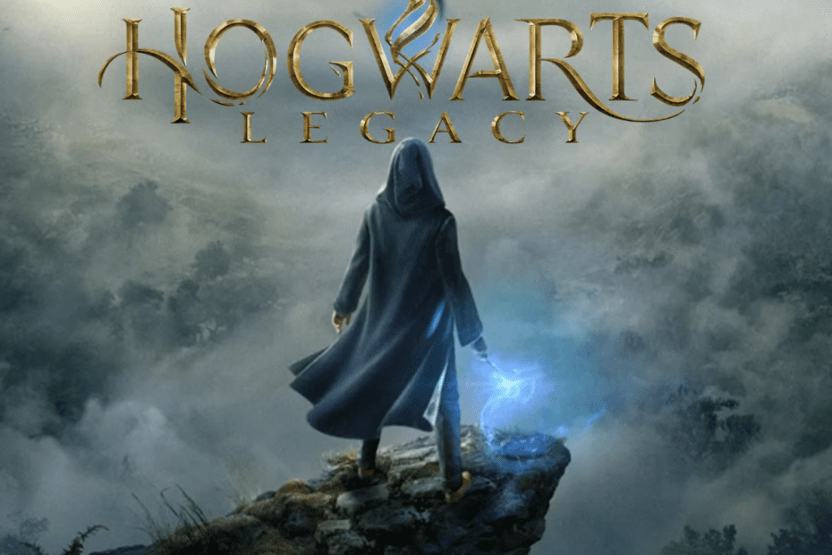 Hogwarts Legacy Deluxe Edition v1117238