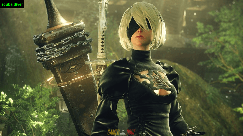 2B - Scuba Divers