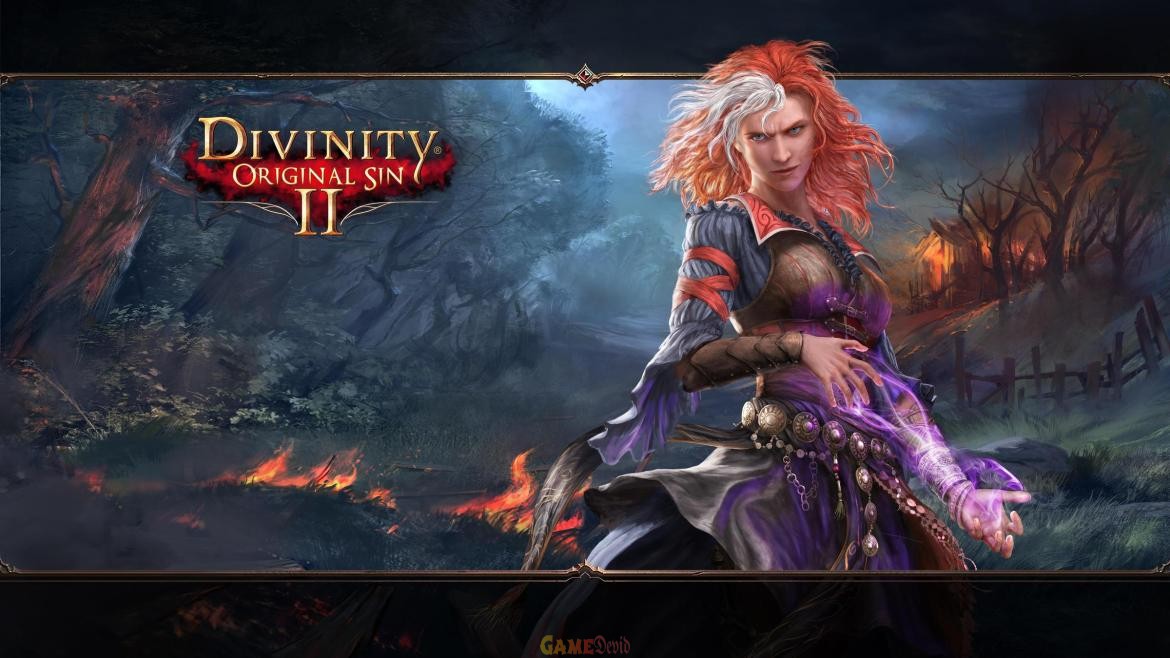 Download Divinity: Original Sin II Ultra HD Resolution PC Game