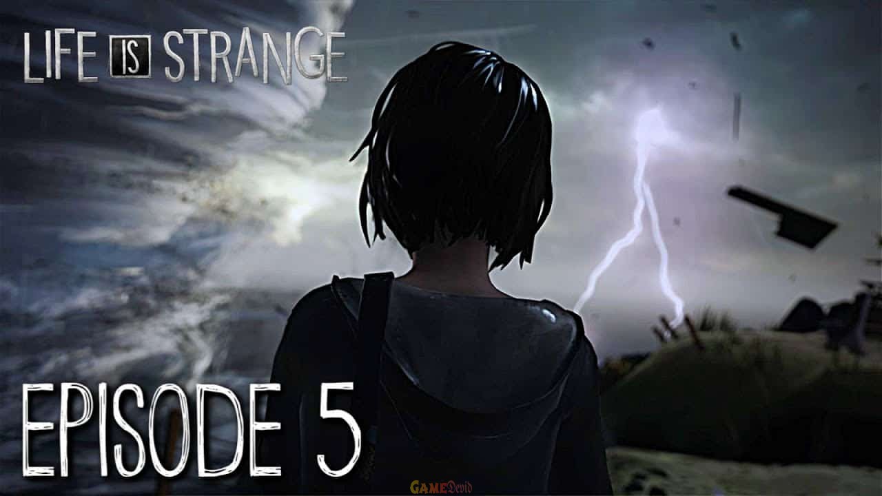 Life is strange 2. Episode 5 Official PC Game Version Free Download