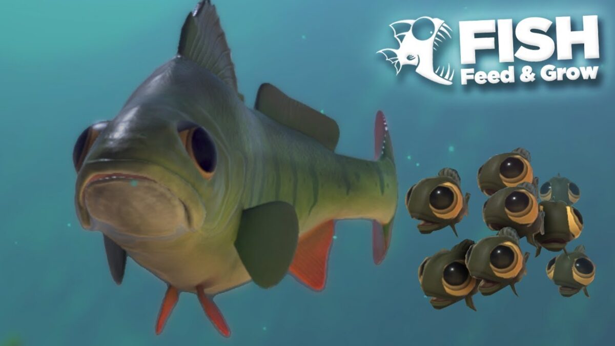 Feed And Grow Fish Mobile Android, iOS Full Version Must Download